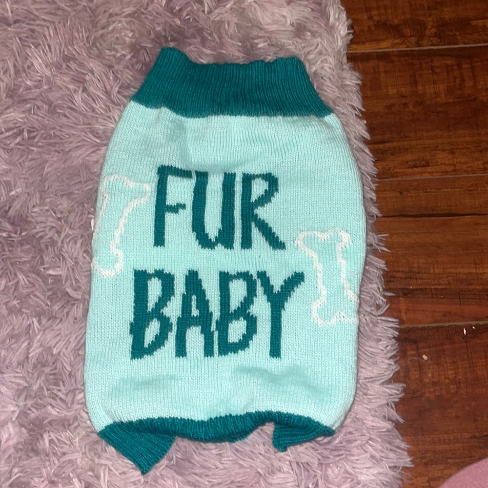 Puppy sweater 😎